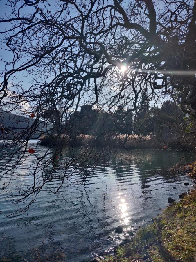 Appartamento Il Balcone sul Brenta Lasino Esterno foto