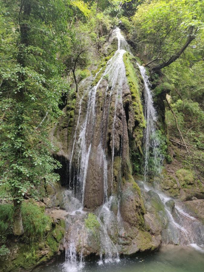 Appartamento Il Balcone sul Brenta Lasino Esterno foto