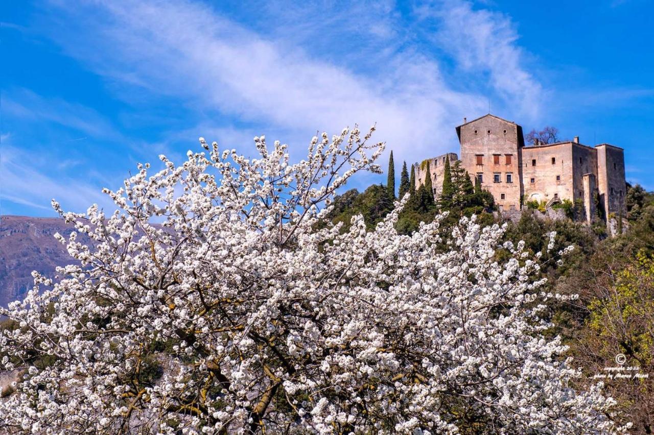 Appartamento Il Balcone sul Brenta Lasino Esterno foto